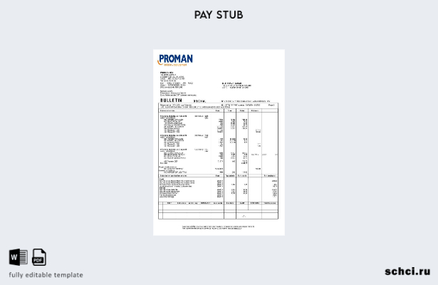 цифровая загрузка Расчетная ведомость по подбору персонала Proman (на французско